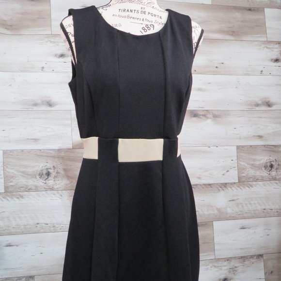 ENFOCUS* Women's Sleeveless Ballet Neck Pullover Pleated Midi Dress~ Size 8P‎ - Picture 1 of 13